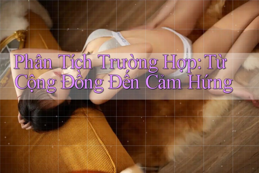 Phân Tích Trường Hợp: Từ Cộng Đồng Đến Cảm Hứng Phân Tích Trường Hợp: Từ Cộng Đồng Đến Cảm Hứng