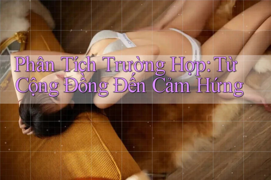 Phân Tích Trường Hợp: Từ Cộng Đồng Đến Cảm Hứng Phân Tích Trường Hợp: Từ Cộng Đồng Đến Cảm Hứng